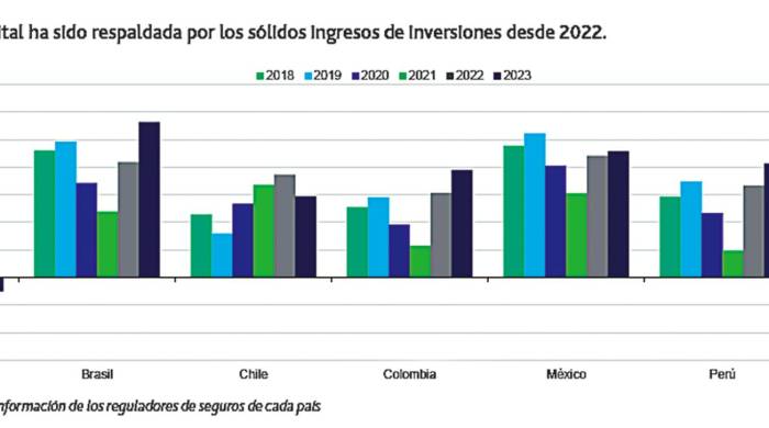 Gráfica de la rentabilidad del capital.