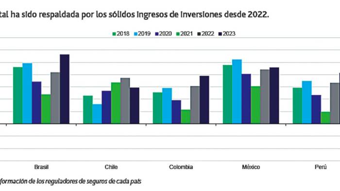 Gráfica de la rentabilidad del capital.