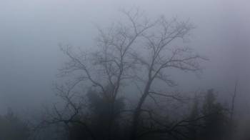 Los barrios altos de Donostia han amanecido este martes bajo una densa niebla.