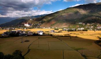 Campos agrícolas de Bután.