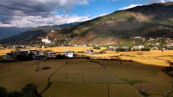 Campos agrícolas de Bután.