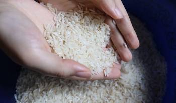 El MIDA se comprometió a comprar el arroz nacional a los productores y aseguró que importará arroz solo para las agroferias del IMA.