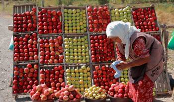 El hambre significa falta de las defensas más importantes para enfrentar problemas de extrema gravedad como las epidemias, la desnutrición en sus distintas formas.