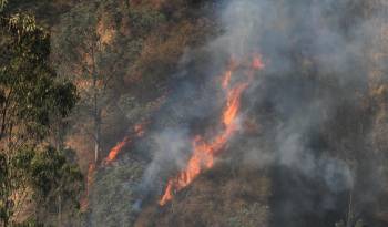 Fotografía de un incendio forestal este miércoles en Quito (Ecuador).