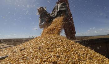 La sequía extrema en Brasil pone en peligro las cosechas y encarece los alimentos.