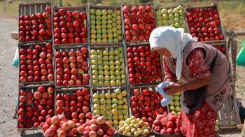 El hambre significa falta de las defensas más importantes para enfrentar problemas de extrema gravedad como las epidemias, la desnutrición en sus distintas formas.