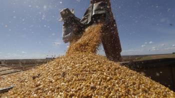 La sequía extrema en Brasil pone en peligro las cosechas y encarece los alimentos.