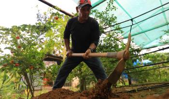 Un total de 300 mil productores del país serán empadronados en el octavo Nacional Agropecuario del Inec.