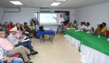 Vista de la reunión de la Cadena Agroalimentaria del Arroz.