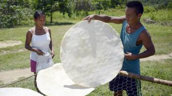 El casabe es una especie de pan plano, circular y de tamaño variado, pero siempre mayor que el de una tortilla tradicional.