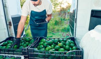 El sector de servicios es todo aquello relacionado con el comercio, transporte, turismo, sanidad, cultura, etc.