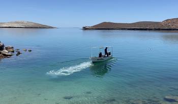 Fotografía de archivo donde se observa a ambientalistas en una playa cerca del puerto de Pichilingue, el 20 de julio de 2024, en La Paz, Baja California Sur (México).