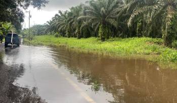 Del 1 al 4 de noviembre se registró la acumulación de 850 milímetros de lluvia, superior a los acumulados con el huracán Eta.