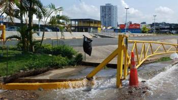 Grandes cantidades de agua potable se pierden por roturas de tubería.