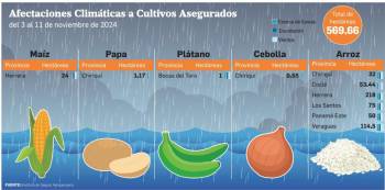 ISA: arroz, plátano, papa, cebolla y maíz, los cultivos más afectados por las lluvias