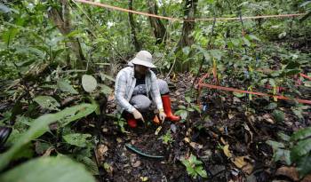 La investigadora panameña, Alicia Sanjur, trabaja en un experimento de calentamiento del suelo para comprobar cómo afecta la liberación de dióxido de carbono y metano en la isla Barro Colorado.