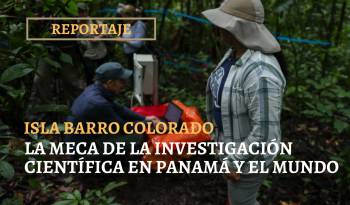Isla Barro Colorado, la meca de la Investigación científica en Panamá y el mundo