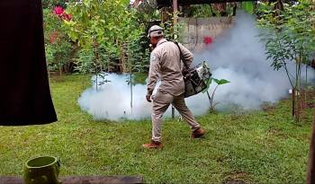 En la semana epidemiológica 43 no se reportaron muertes por dengue.