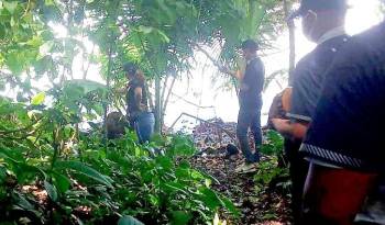 Una pareja de estadounidenses encontró el cuerpo cerca a la playa de la isla Carenero.