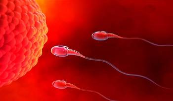 Quienes participaron en el estudio del NIH mostraron un deceso en la cantidad de esperma producido en 15 semanas, otros desde la cuarta u octava semana.