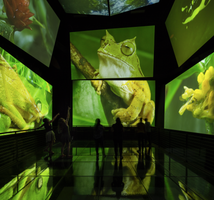 La muestra 'Panamarama' del Biomuseo.