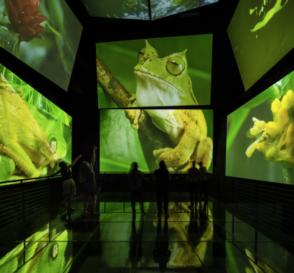 La muestra 'Panamarama' del Biomuseo.