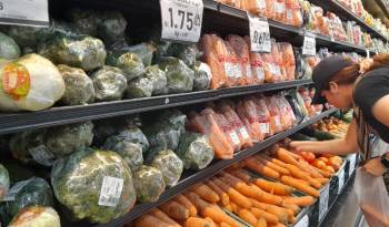 Por el grupo de vegetales y verduras, los consumidores pagaron $32,88.