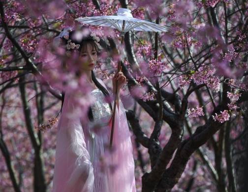 Tokio registra el sakura o cerezos en flor más tempranos desde 1953