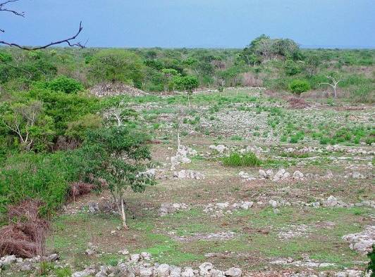 Dentro de los sitios donde las mediciones de contaminación en mercurio eran detectable está la antigua ciudad maya de Chunchumil, en México.