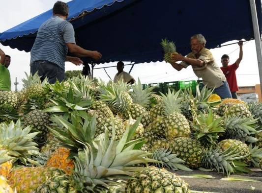 Los bienes agrícolas se perfilan con gran oportunidad para ampliar la oferta exportable y contribuir a la seguridad alimentaria global.