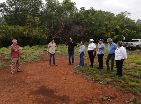 La investigación que se realizó para medir el impacto ambiental se encuentra en el sitio web de Puerto Barú y en la plataforma 'Prefacia' de MiAmbiente.