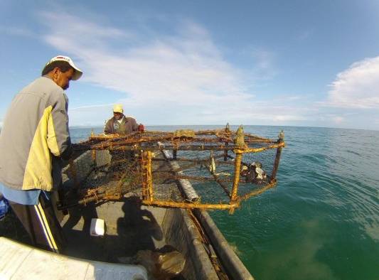 Pescadores artesanales se reunirán en Costa Rica del 26 al 29 de septiembre.