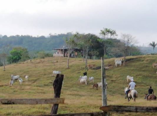 Sus habitantes viven de la ganadería y la pesca.