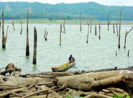 El fenómeno de El Niño está relacionado con el calentamiento del Pacífico oriental ecuatorial.