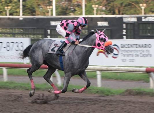 ‘Siciliana’ ganando al reverendo galope la pasada edición del Clásico Día de la Madre.