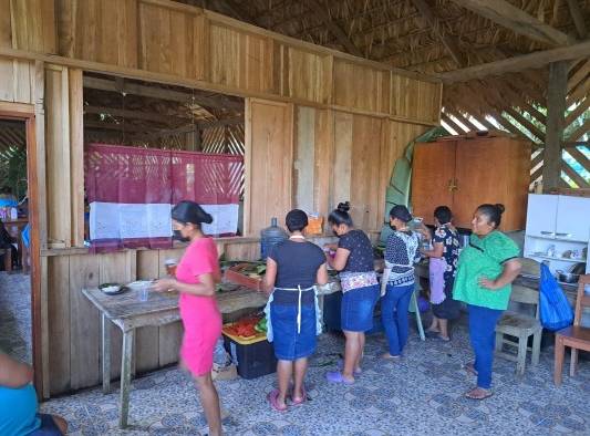 Son 12 mujeres de la Comarca Naso Tjër Di, que trabajan como hormiguitas desde el alba hasta el ocaso.