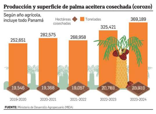 Pabo instala extractora de palma apoyada en cuestionable consulta ciudadana