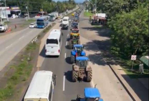 ‘El futuro del arroz está en peligro, y con él, el empleo de miles de personas’, dijeron voceros de los agricultores.