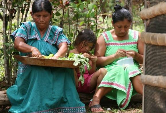 La Coonapip consideró oportuno resaltar los aportes de las mujeres originarias de los 7 pueblos y las 12 estructuras de congresos y consejos de los territorios indígenas del país.