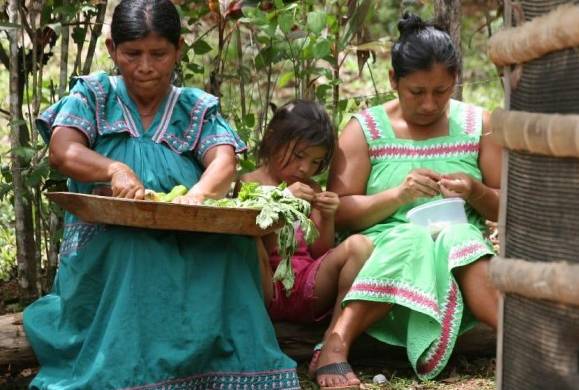 La Coonapip consideró oportuno resaltar los aportes de las mujeres originarias de los 7 pueblos y las 12 estructuras de congresos y consejos de los territorios indígenas del país.