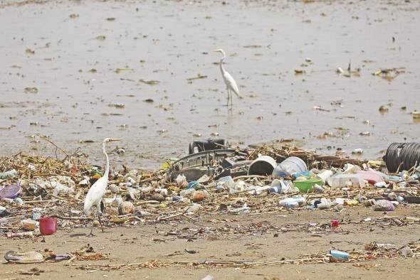 Uno de los principales problemas que enfrentan los océanos es la contaminación.