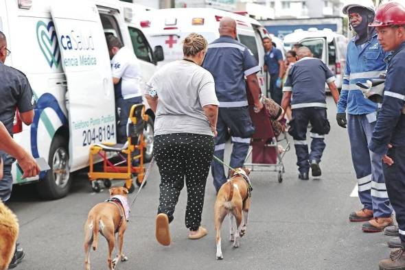 Las mascotas también fueron puestas a salvo.