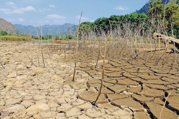 La ciencia ha demostrado que los esfuerzos mancomunados darán resultados antes de que sea irreversible el impacto medioambietal.