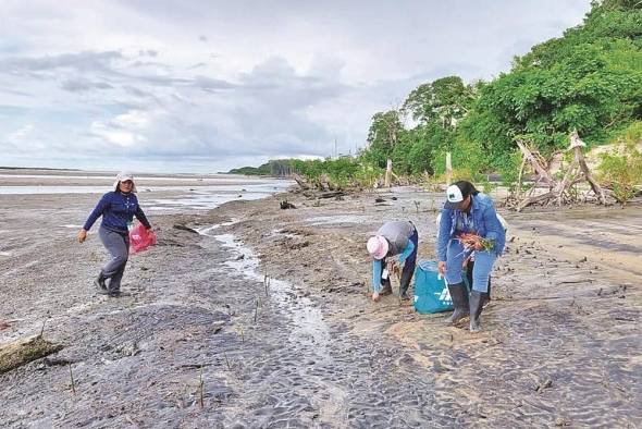 La conservación de los humedales es crucial para la vida en la Tierra.