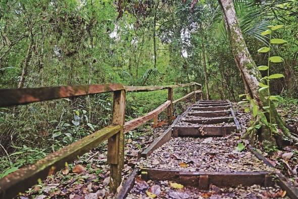 El Parque Natural Metropolitano cuenta con siete senderos.