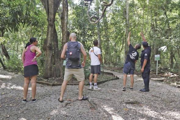 Visitantes podrán realizar recorridos con los guías turísticos.