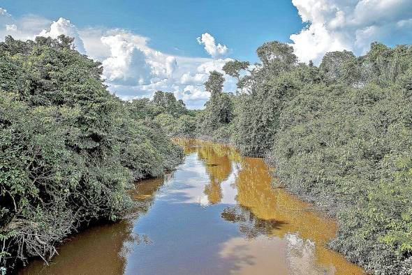 La Amazonía en Brasil Archivo | EFE/Beethoven Delano