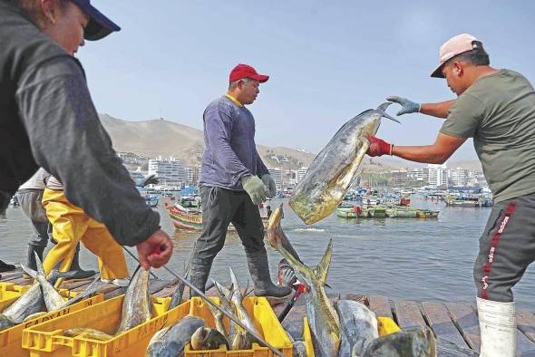 Pescadores con sus productos en el puerto de pescadores artesanales de Ancón, al norte de Lima (Perú).