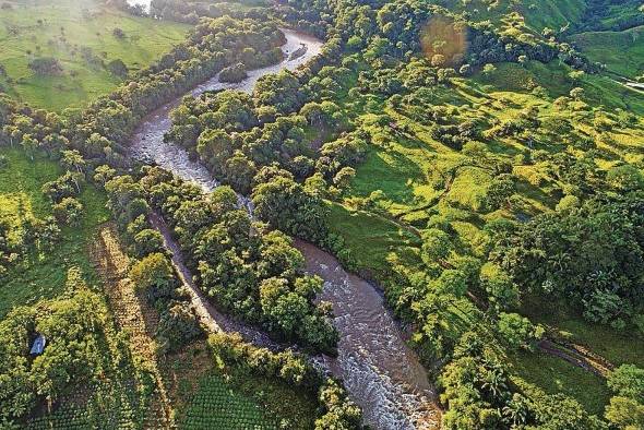 Según Sergio Feoli Boraschi, un corredor biológico es un espacio geográfico donde se da la posibilidad de hacer manejo sostenible de los recursos naturales.