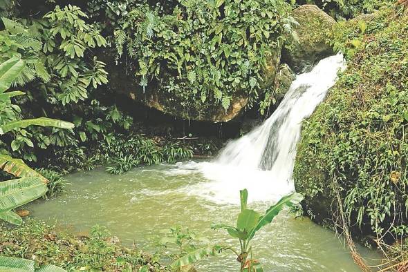 Los visitantes podrán disfrutar de una gran variedad de cascadas y ríos dentro de los parques.